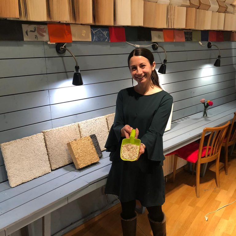 ElenaYanevaDemoDayINiTS